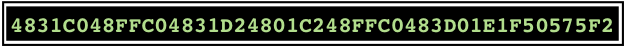 Hex string 4831C048FFC04831D24801C248FFC0483D01E1F50575F2